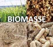biomasse
